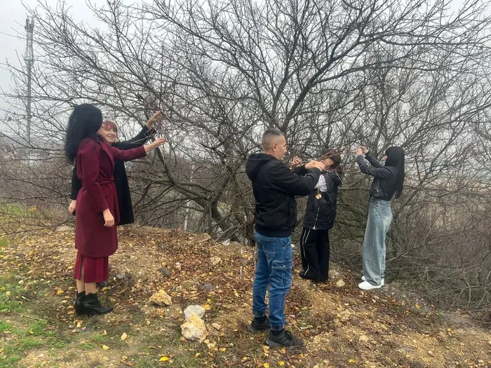 d96827a6-6d5e-4509-9308-f78963b35fe3